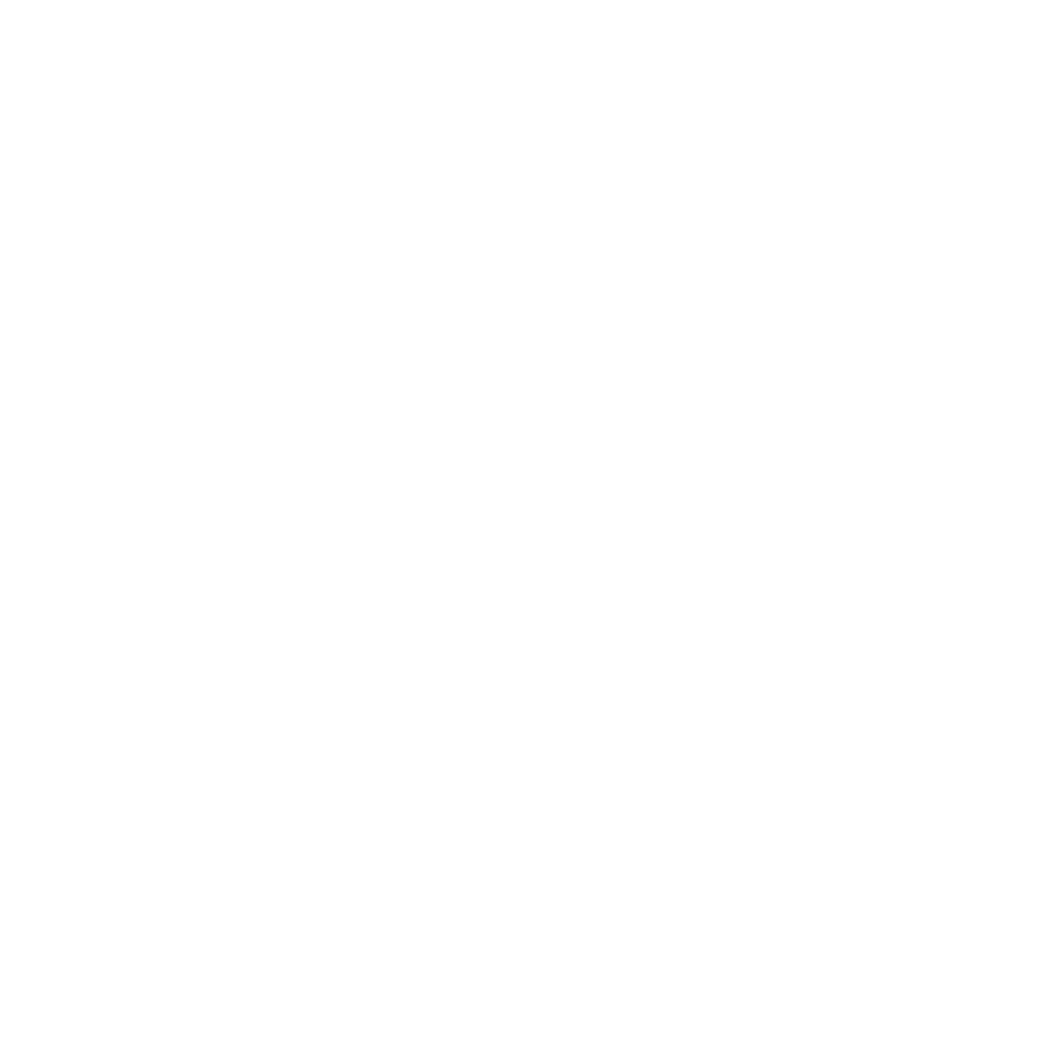 instagram logo white